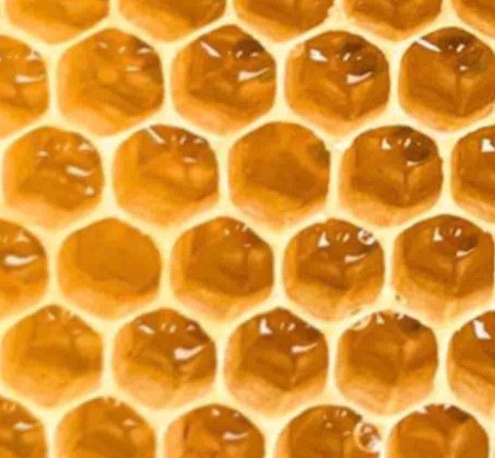 HONEYCOMB DESAL1